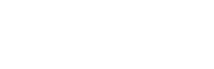 ROVEIS